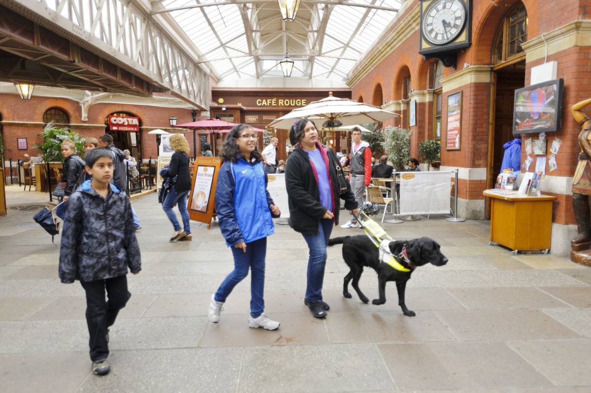 Guide Dogs for the Blind Association image